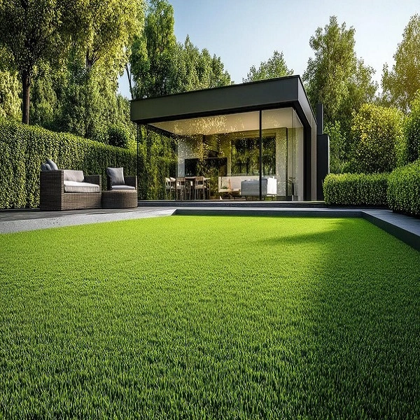 Artificial Grass