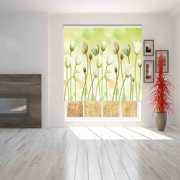 Printed Blinds