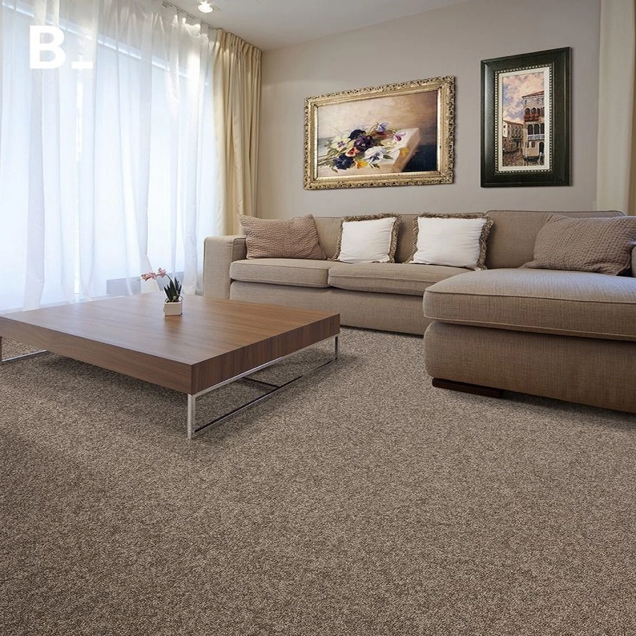 beige carpets s2