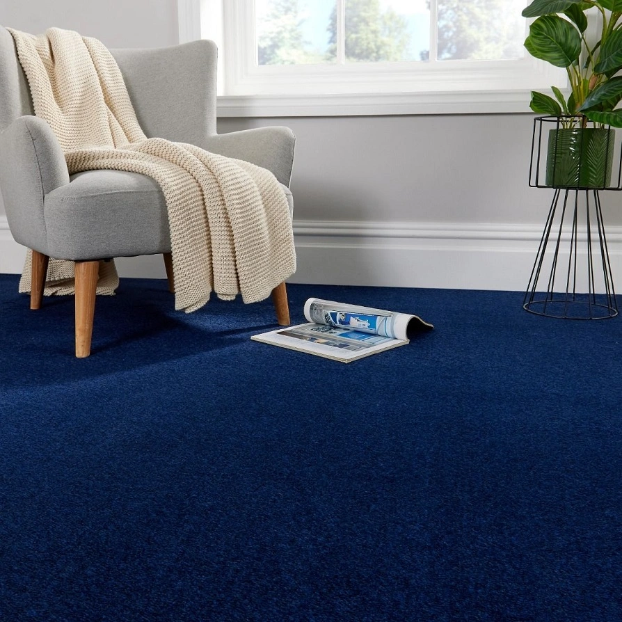 blue carpets s3