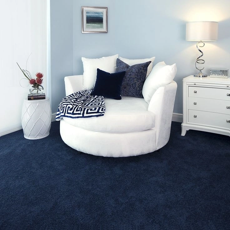 blue carpets s6