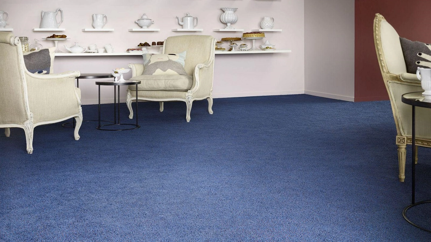 blue carpets w1