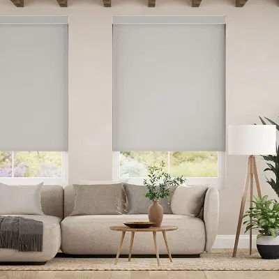 motorized blinds