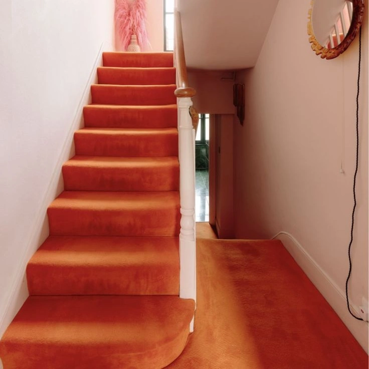 orange carpets s2