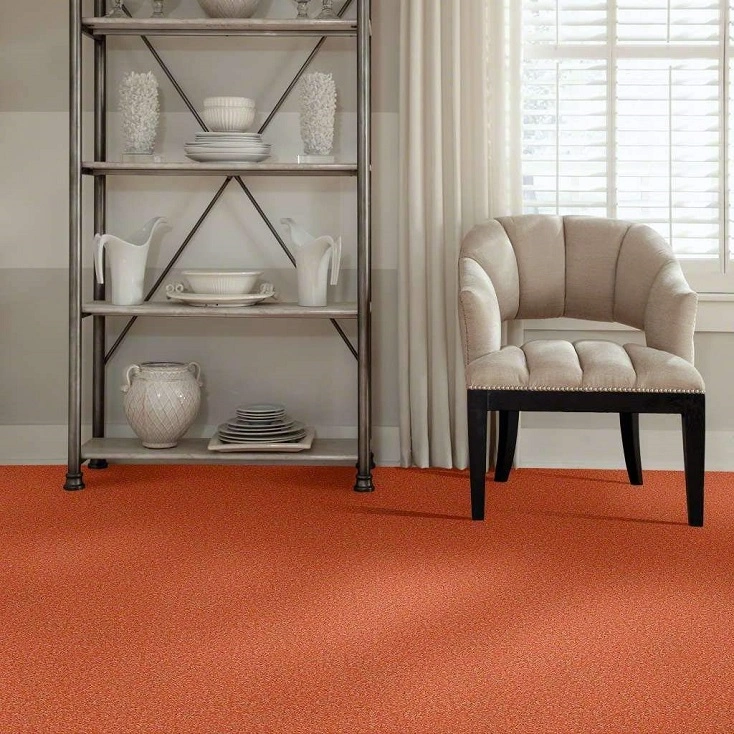 orange carpets s8