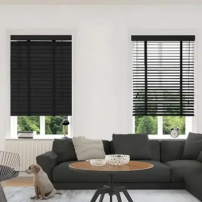 venetian blinds