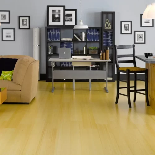 Bamboo Flooring