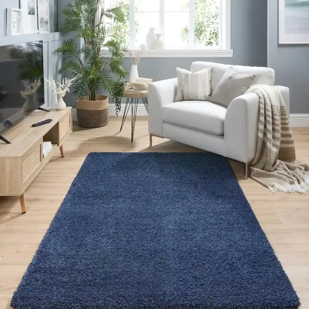 Blue Rugs