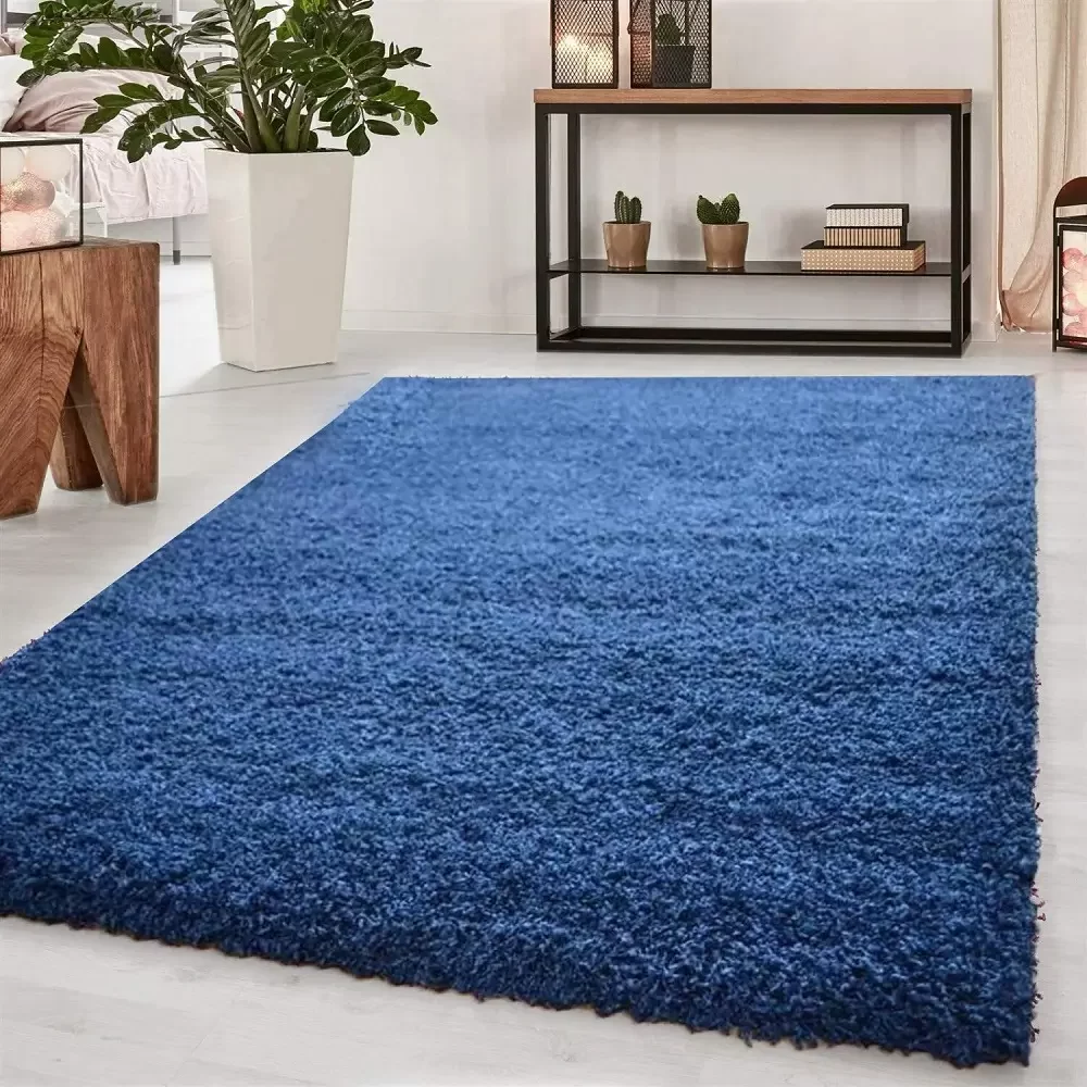 Blue Rugs