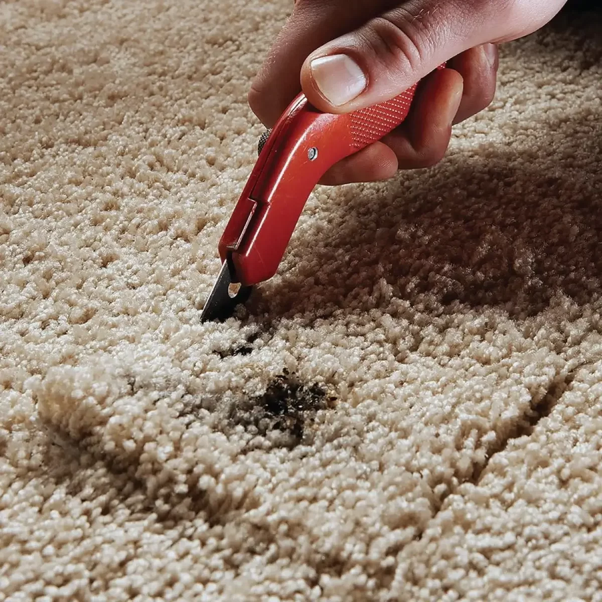 Carpet Repair and Installation