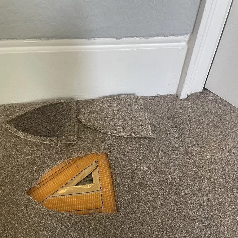 Carpet Repair and Installation s2