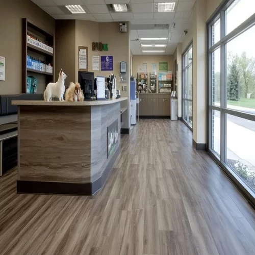 Clinics Vinyl Flooring