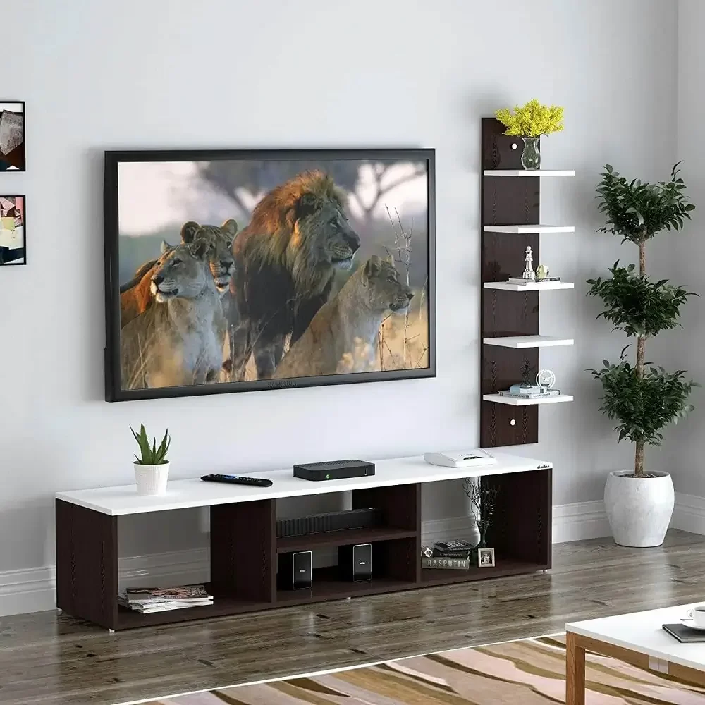 Custom TV Rack S3