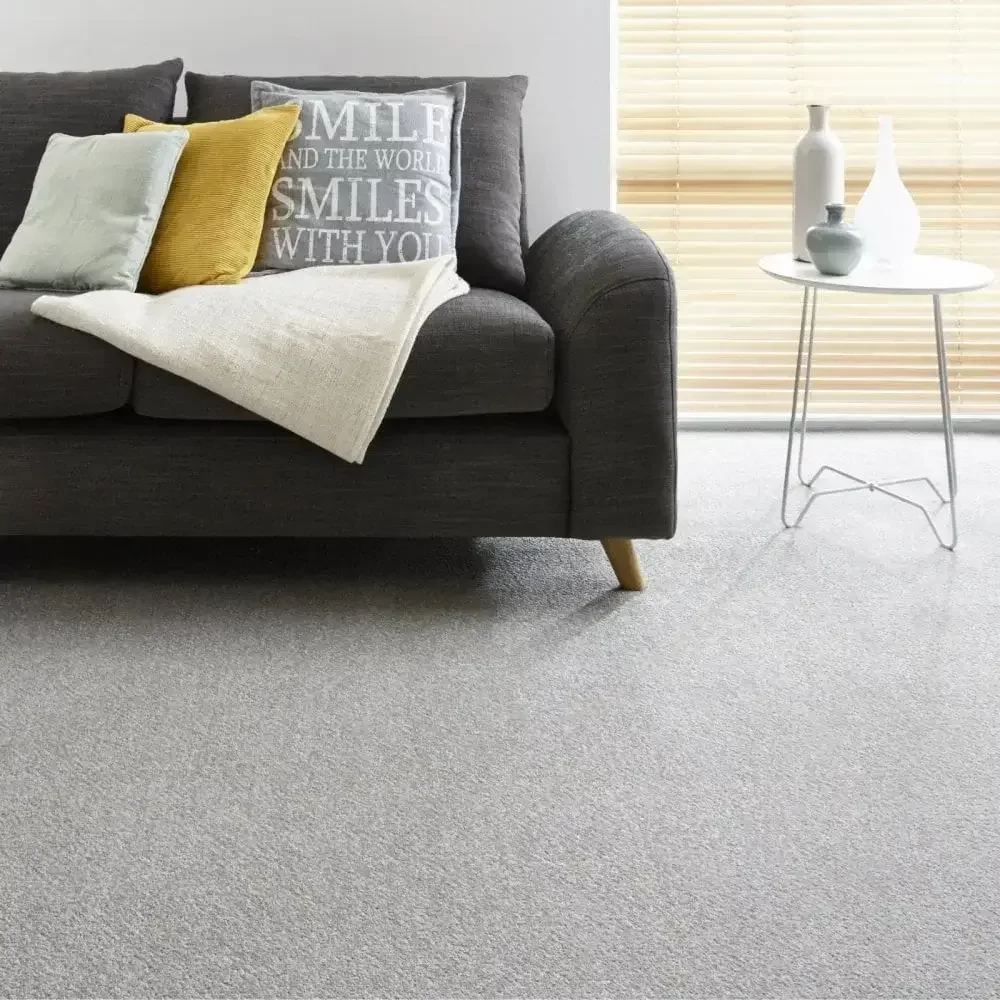 Gray Wall to Wall Carpet (2) (2)