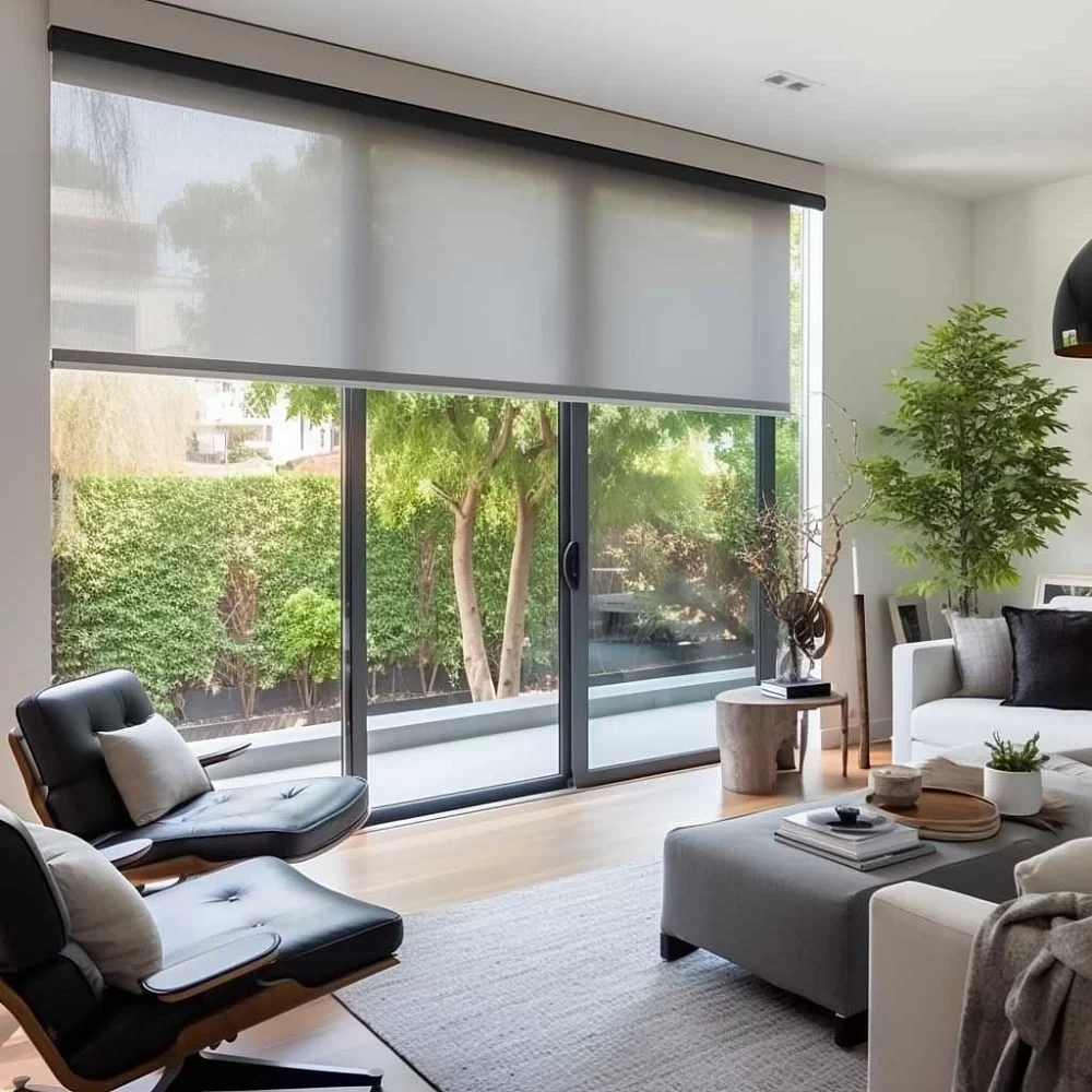 Roller Shades Sheer