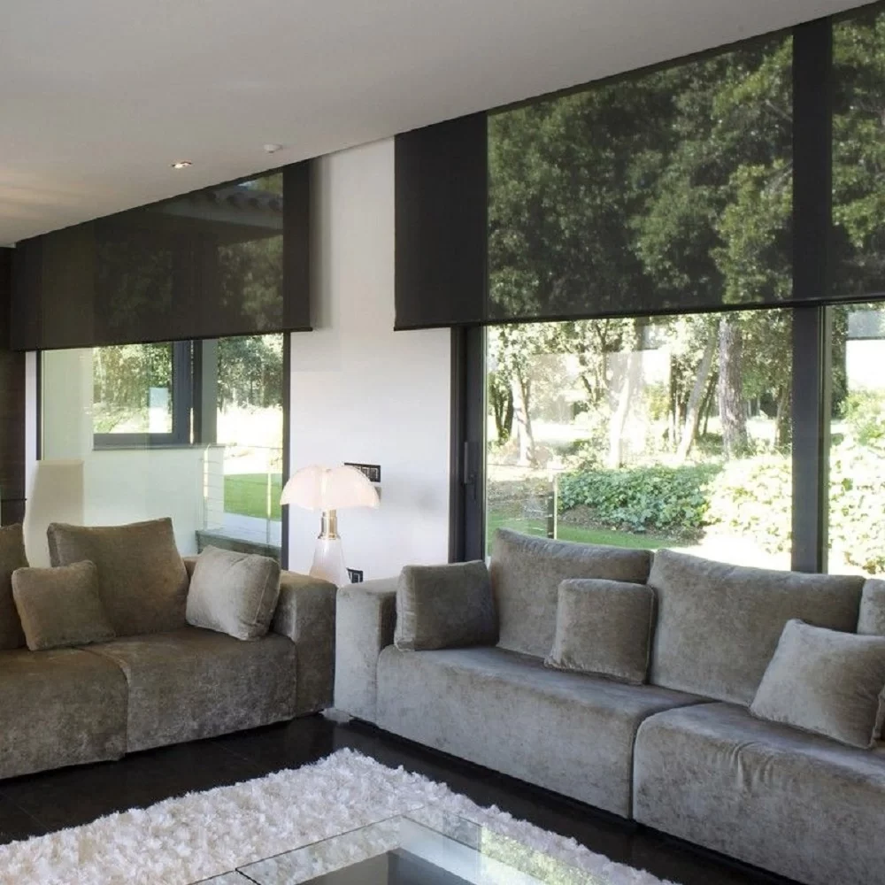 Roller Shades Sheer