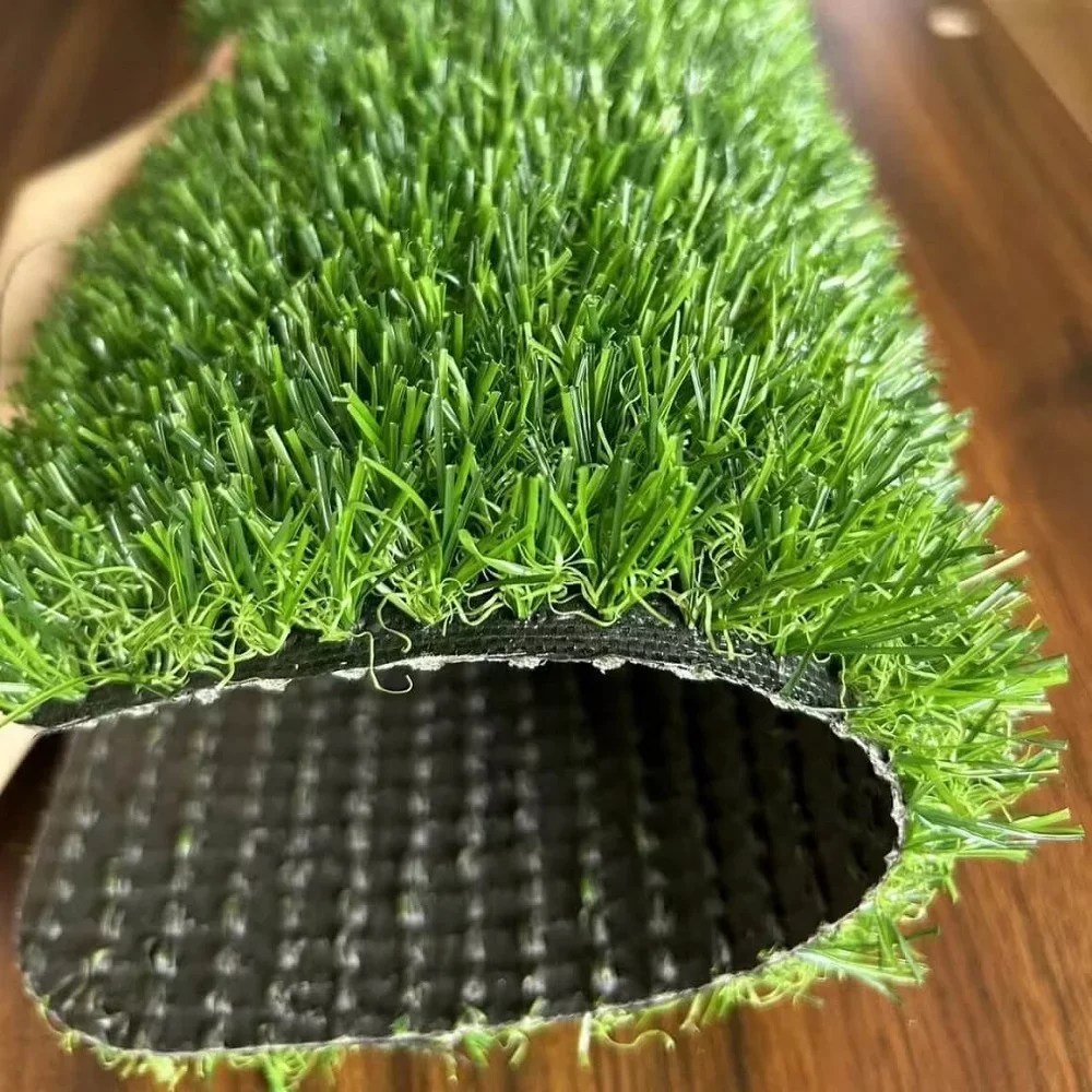 Turf Grass