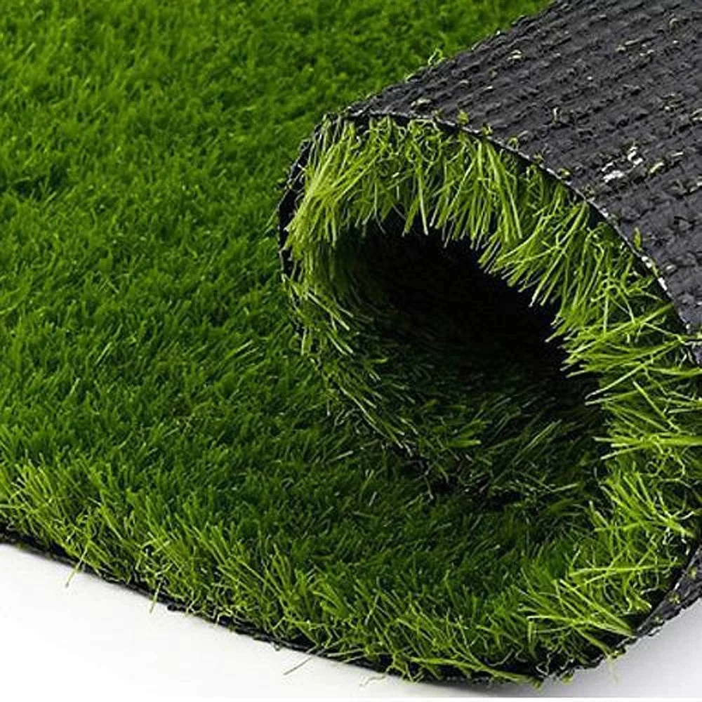 Turf Grass